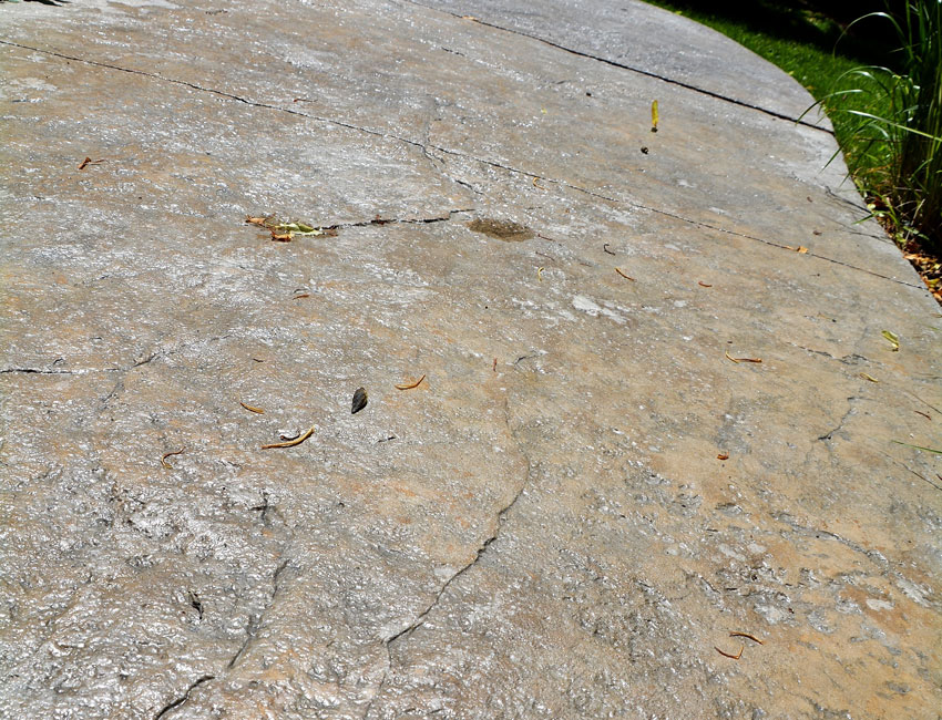 Patio and walkway project